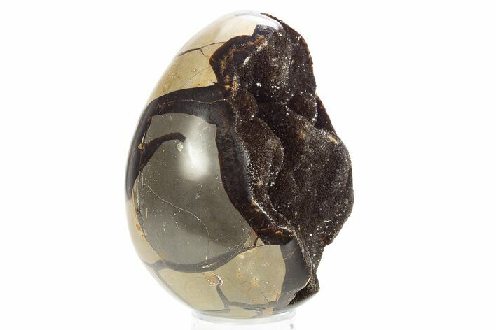 Septarian Dragon Egg Geode - Sparkly Black Crystals #329494